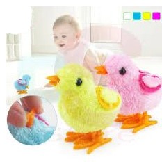 Little Chirpers Set
