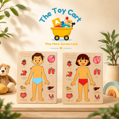 Anatomical Wooden Puzzle (Boy & Girl Variant)