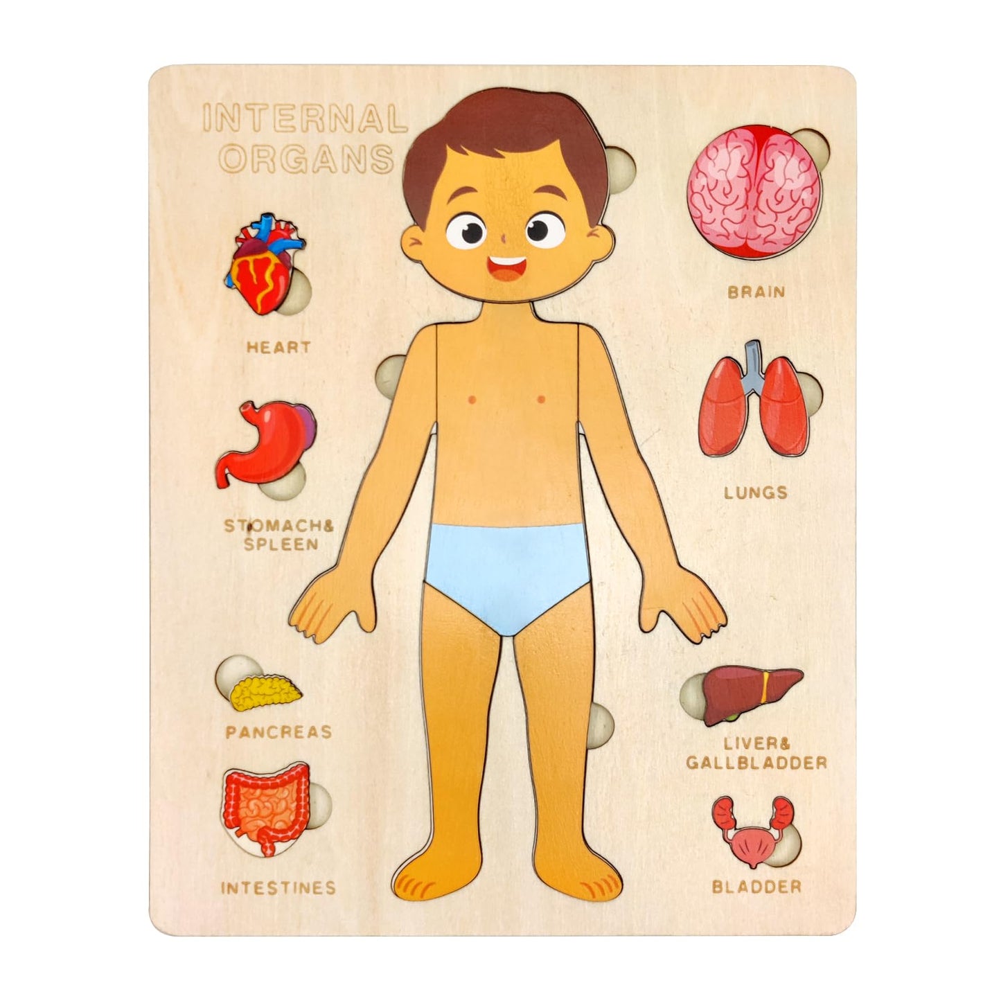 Anatomical Wooden Puzzle (Boy & Girl Variant)